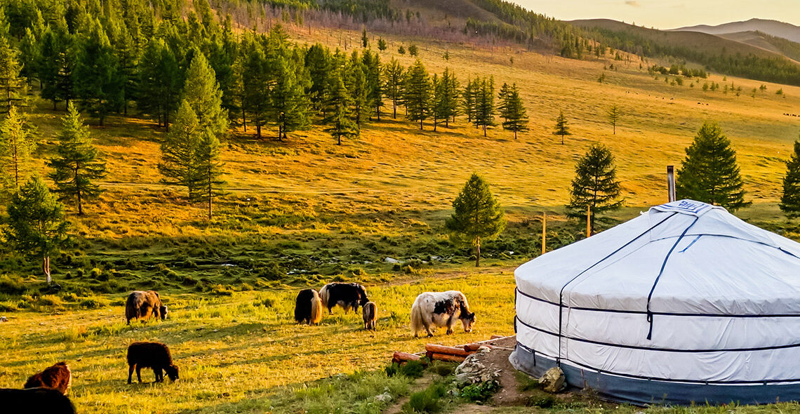 [CULTURE] Un plat insolite de Mongolie